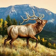 Cross stitch pattern: #2633070