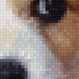 Preview of cross stitch pattern: #2633396