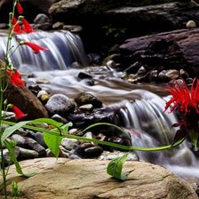 Cross stitch pattern: #2637036