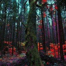 Cross stitch pattern: #2638304