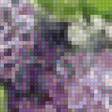 Preview of cross stitch pattern: #2639196