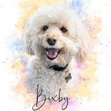 Cross stitch pattern: #2642440