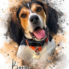 Cross stitch pattern: #2645248