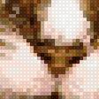 Preview of cross stitch pattern: #2645250