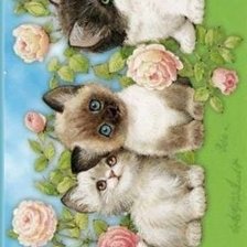 Cross stitch pattern: #2645547