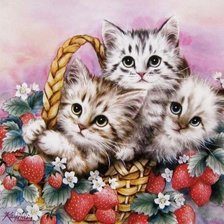 Cross stitch pattern: #2645554