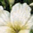 Preview of cross stitch pattern: #2646447