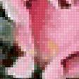 Preview of cross stitch pattern: #2647246