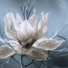 Cross stitch pattern: #2649182