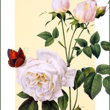 Cross stitch pattern: #2651055