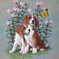 Cross stitch pattern: #2656253