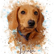 Cross stitch pattern: #2657923