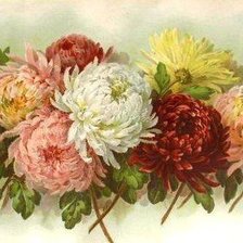 Cross stitch pattern: #2658311