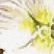 Preview of cross stitch pattern: #2658724