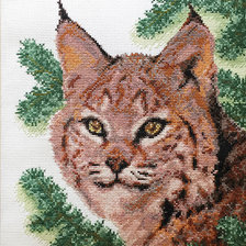 Source of cross stitch pattern: #2659278