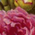 Preview of cross stitch pattern: #2659506