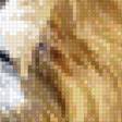 Preview of cross stitch pattern: #2663134