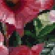 Preview of cross stitch pattern: #2664110