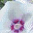 Preview of cross stitch pattern: #2664614