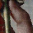 Preview of cross stitch pattern: #2667865