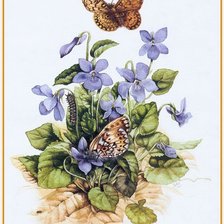 Cross stitch pattern: #2667872