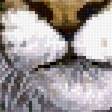 Preview of cross stitch pattern: #2672302