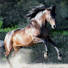 Cross stitch pattern: #2675489