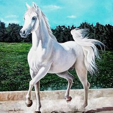 Cross stitch pattern: #2675501