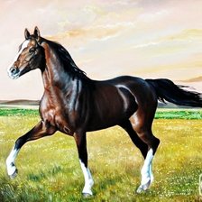 Cross stitch pattern: #2675504