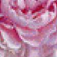 Preview of cross stitch pattern: #2677009