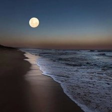 Cross stitch pattern: #2679063