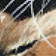 Preview of cross stitch pattern: #2679470