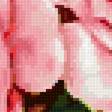 Preview of cross stitch pattern: #2681632