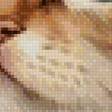 Preview of cross stitch pattern: #2681999