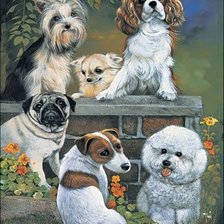 Cross stitch pattern: #2682167