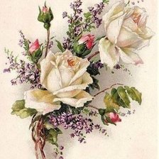 Cross stitch pattern: #2684302