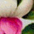 Preview of cross stitch pattern: #2685019