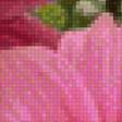 Preview of cross stitch pattern: #2685032