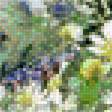 Preview of cross stitch pattern: #2685462