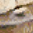 Preview of cross stitch pattern: #2686935