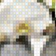 Preview of cross stitch pattern: #2693317