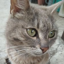 Cross stitch pattern: #2694657