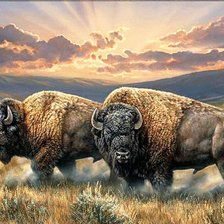 Cross stitch pattern: #2703813