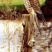 Cross stitch pattern: #2704776