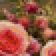 Preview of cross stitch pattern: #2705536