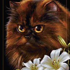 Cross stitch pattern: #2707643