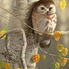 Cross stitch pattern: #2719705