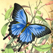 Cross stitch pattern: #2720765