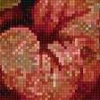 Preview of cross stitch pattern: #2721909