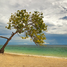 Cross stitch pattern: #2722256